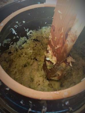 kraut (2)